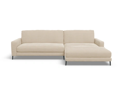 LOXL Medium R
